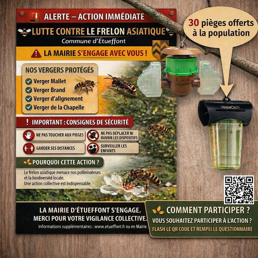 Action immédiate contre le frelon asiatique