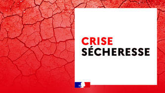Sécheresse - niveau crise