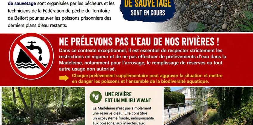 Préservons la Madeleine : chaque goutte compte