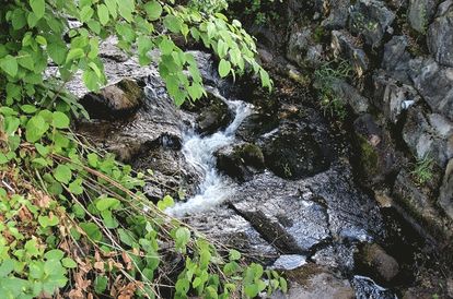 Une jolie petite rivière