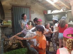 Visite de la Ferme équestre de la Forge