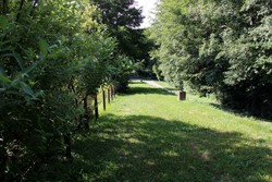 Sentier d'Etueffont