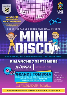 Mini disco